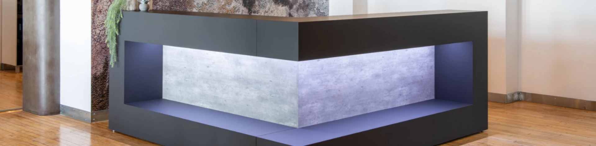 Banner receptions logiflex mono c007b